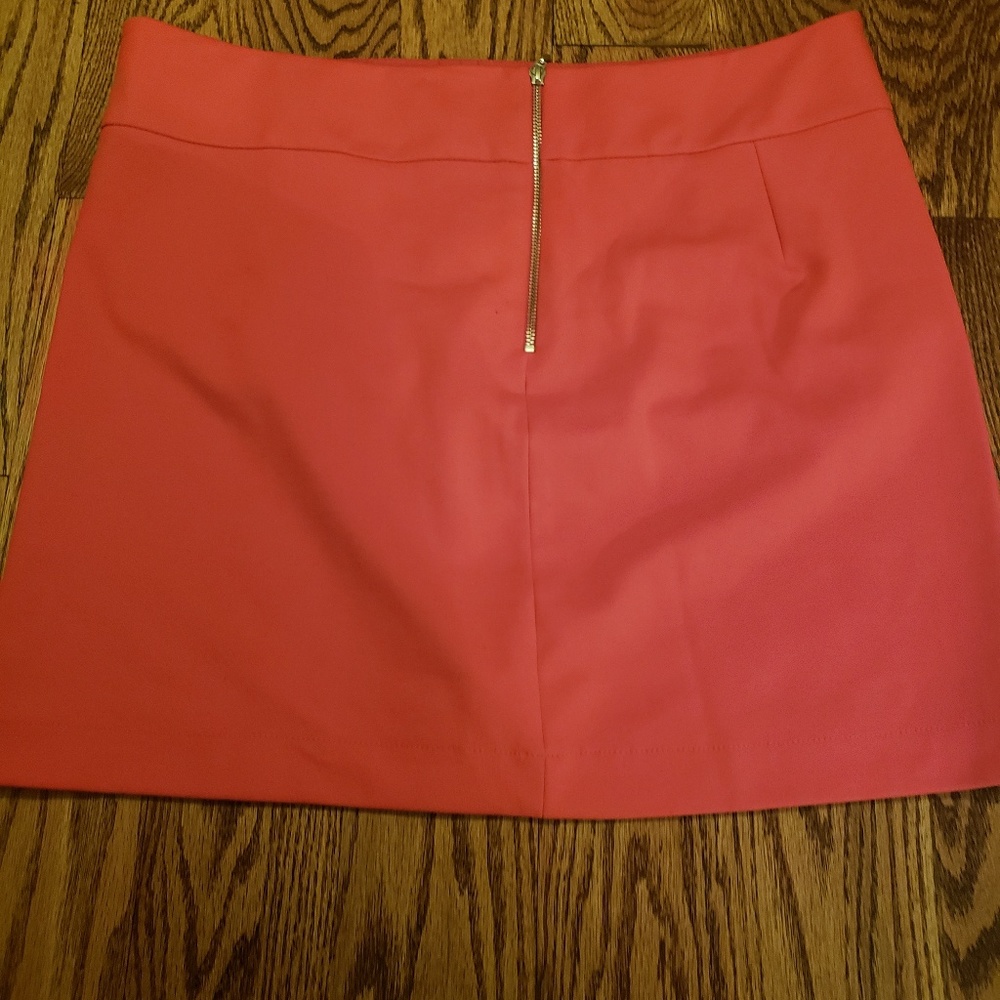Mini Skirt - Picture 3 of 3